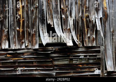 Warped boards on an old barn Stock Photo