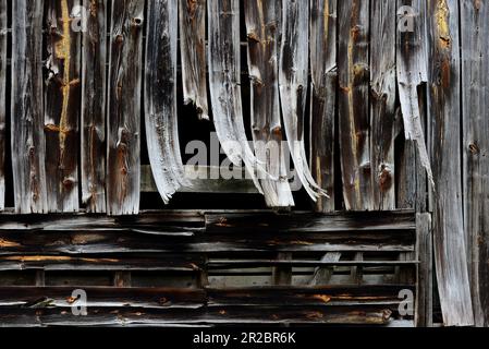 Warped boards on an old barn Stock Photo