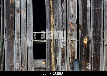 Warped boards on an old barn Stock Photo