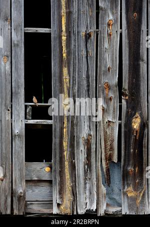 Warped boards on an old barn Stock Photo