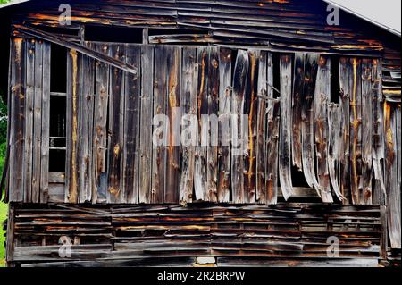 Warped boards on an old barn Stock Photo