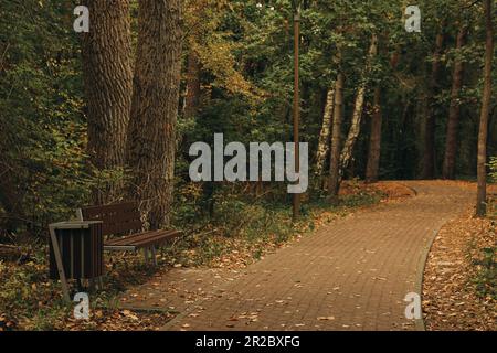 Many beautiful trees, bench and pathway in autumn park Stock Photo
