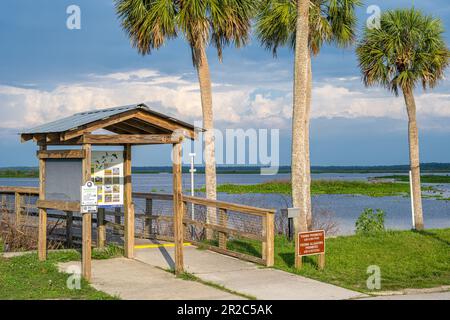 Ecopassage Observation Boardwalk at Paynes Prairie Preserve State Park along U.S. Highway 441 in Micanopy, Florida, near Gainesville. (USA) Stock Photo