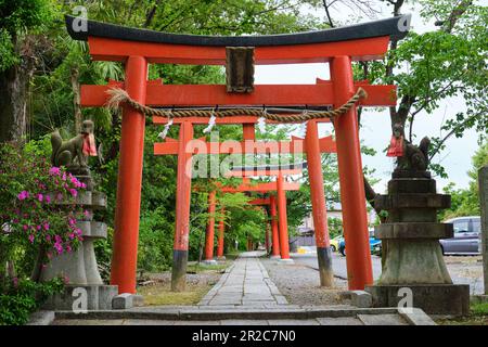 Takenaka Inari Shinto Shrine entrance in Kyoto, Japan. Stock Photo