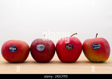 https://l450v.alamy.com/450v/2r2cfpd/fresh-apples-cultivar-by-different-italian-companies-melinda-cosmic-crisp-marlene-pinova-isolated-on-white-background-2r2cfpd.jpg