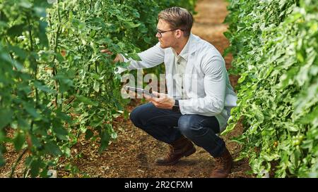 Expert, professional and tablet in a greenhouse for research and innovation in agriculture. Ecology, growth and scientist on a farm with technology Stock Photo