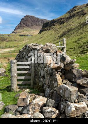 Ruins of old dry stone wall and wooden fence with Preshal More mountain beyond, Talisker, Isle of Skye, Scotland, UK Stock Photo