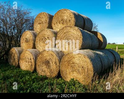 Neat pyramid Hay stack made from a stack of large round straw bales on a Leicestershire farm, England, UK Stock Photo