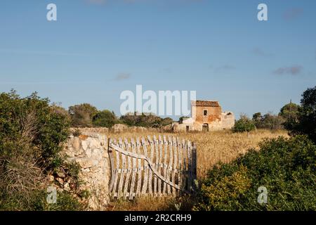 Abandoned farm building in the fields with old wooden gate and stone wall in Mallorca. Stock Photo