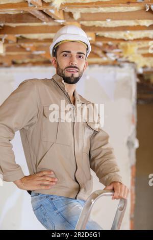 male builder in ladder looking at camera Stock Photo