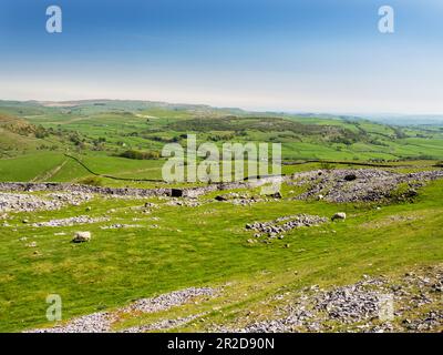 The famous Norber glacial erratics on the southern slopes of Ingleborough, Yorkshire Dales, UK. Stock Photo