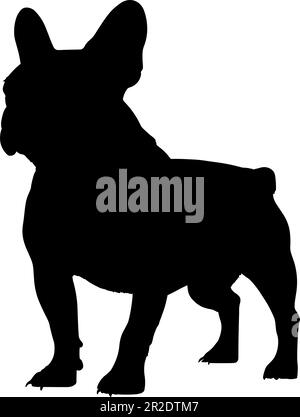 French bull dog silhouette isolated on a white background. Vector illustration Stock Vector