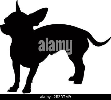 Chihuahua dog silhouette isolated on a white background. Vector illustration Stock Vector