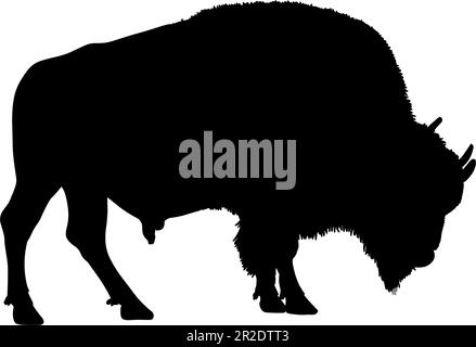 Bison silhouette isolated on a white background. Vector illustration Stock Vector