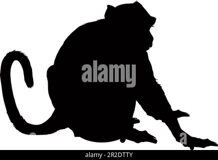 Sitting Monkey silhouette isolated on a white background. Vector illustration Stock Vector
