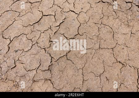 The texture of the dried and cracked surface of the earth, the background of the erosion of the earth. Stock Photo
