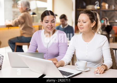 Female freelancers drinking coffee and working on laptop in cafe Stock Photo