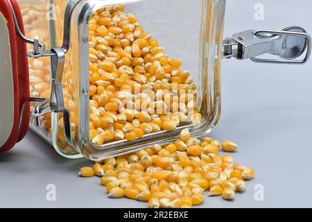 Ready to make some popcorn. Stock Photo