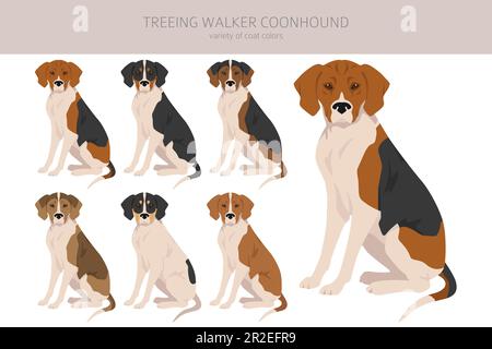 Treeing Walker coonhound clipart. Different poses, coat colors set.  Vector illustration Stock Vector