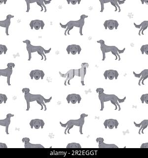 Weimaraner longhaired dog seamless pattern. All coat colors set.  All dog breeds characteristics infographic. Vector illustration Stock Vector