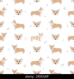 Welsh Corgi Pembroke seamless pattern. All coat colors set.  All dog breeds characteristics infographic. Vector illustration Stock Vector