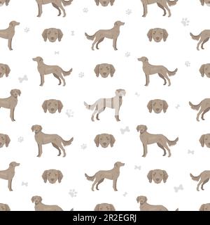 Weimaraner longhaired dog seamless pattern. All coat colors set.  All dog breeds characteristics infographic. Vector illustration Stock Vector