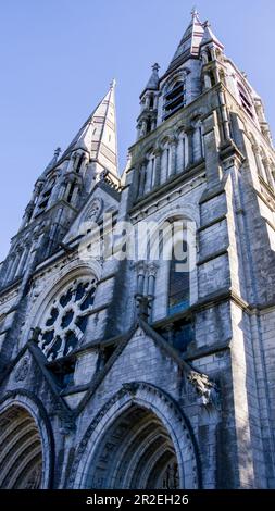 The tall Gothic spire of an Anglican church in Cork, Ireland. Neo-Gothic architecture. Cathedral Church of St Fin Barre, Cork - Ireland’s Iconic Build Stock Photo