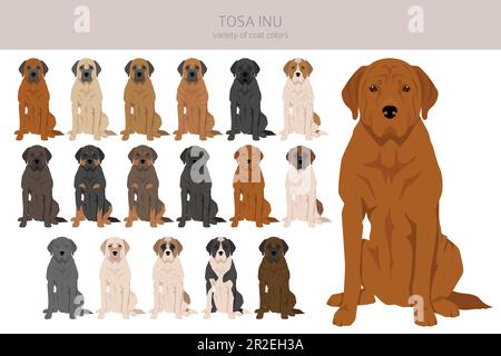 Tosa Inu clipart. Different poses, coat colors set. Vector illustration ...