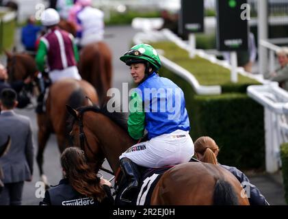 Royal Athena ridden by Hayley Turner ahead of the Bernard Sunley Handicap at Newbury Racecourse, Berkshire. Picture date: Friday May 19, 2023. Stock Photo