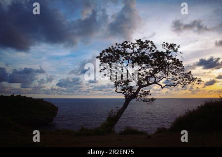 gold sunset landscape in coastal cliff.blue sky,gray cloud.Indian Ocean view,sea horizon,and nature view.silhouette of tree, grass,cliff photocard Stock Photo