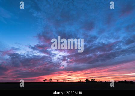 Silhouette of various trees on a country road in the red light of the setting sun. Dramatic colors and cloud formations are in the sky, Germany, Brand Stock Photo