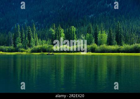 Canoeists on the Yukon River in front of a pine forest. Yukon River, Yukon, Canada Stock Photo