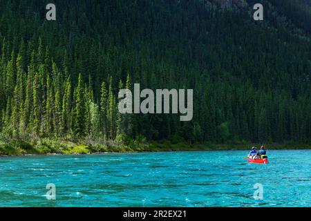 Canoeists on the Yukon River in front of a pine forest. Yukon River, Yukon Territory, Canada Stock Photo