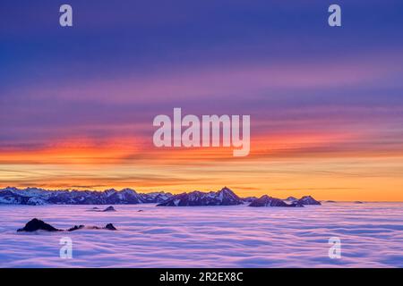 Sunset glow over Heuberg, Karwendel and Wendelstein with sea of fog, Hochries, Chiemgau Alps, Chiemgau, Upper Bavaria, Bavaria, Germany Stock Photo