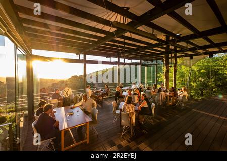 Sunset on the terrace of the Tokara Wine Estate, Stellenbosch,, South Africa, Africa Stock Photo