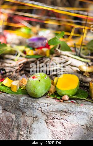 Prasadam kept for hindu religious worship of banyan tree on vat savitri ...