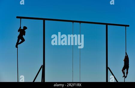 Two men climb a fitness machine, Santa Monica Beach, California, USA Stock Photo