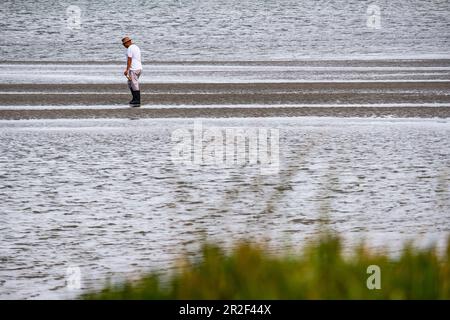 Crab collector in the Leisure Island Lagoon, Knysna, Garden Route, South Africa, Africa Stock Photo