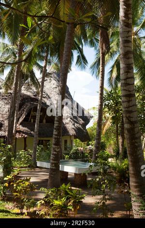 Table tennis table in hotel complex, Temple Point Resort, Mida Creek, Watamu, Malindi, Kenya Stock Photo