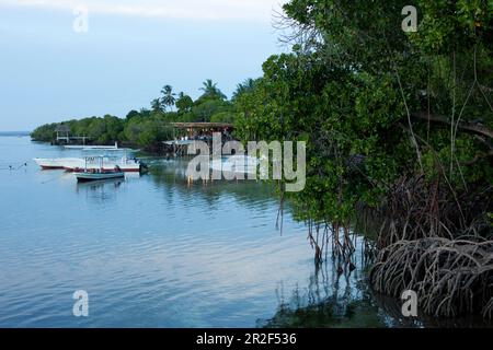 Lighthouse bar at Temple Point Resort, Watamu, Mida Creek, Malindi, Kenya Stock Photo