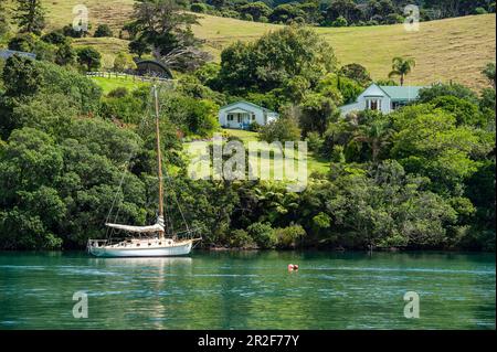 A sailboat lies at anchor in front of a lovely, rural scene with trees, bushes, houses and fields, Great Barrier Island, North Island, New Zealand Stock Photo