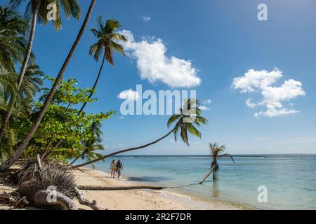 Seen from behind, two people run along a white sandy beach lined with palm trees, Pigeon Point, Tobago, Trinidad and Tobago, Caribbean Stock Photo