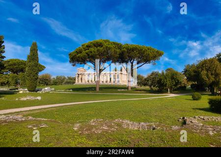 The Athenaion, Temple of Ceres or Temple of Athena in Paestum, Campania, Italy Stock Photo