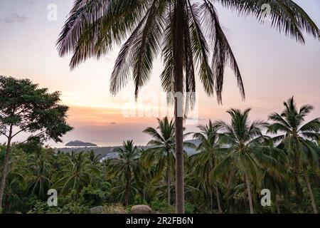 Sunset with a view over palm trees in the south of Koh Phangan. Thailand Stock Photo
