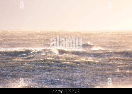 As if the sea were boiling, like here at Barfleur on a winter morning when the storm Atiyah swept over the cap at about 130 km / h. Pointe de Barfleur Stock Photo
