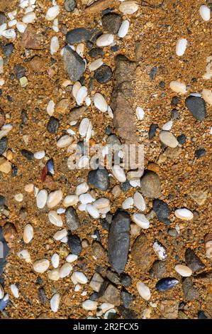 Westend Beach, Ulva Island, South Island, New Zealand Stock Photo