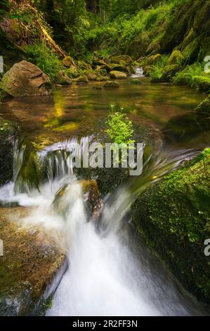 Small waterfall in the Stillensteinklamm, Upper Austria, Austria. Stock Photo