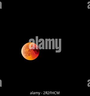 Total lunar eclipse, Bad Honnef, Germany, Europe Stock Photo