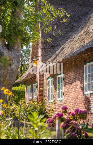 Old farmhouse with cottage garden in Keitum, Sylt, Schleswig-Holstein, Germany Stock Photo