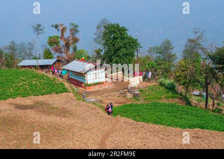 Sikkim, India - 22nd March 2004 : School children in uniform returning home after school is over. Sikkim has one of the most educated population. Stock Photo